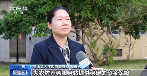 灵山新闻视频,聚焦灵山最新动态，探寻发展脉搏