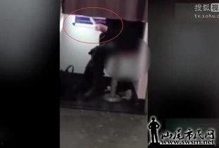 女孩的拉大便视频,温馨记录宝宝大便成长历程