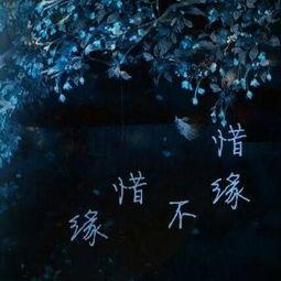 天上的星星视频