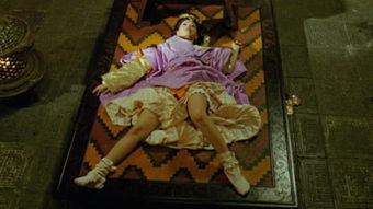 虫皇帝视频大全,揭秘昆虫世界的神秘帝王传奇