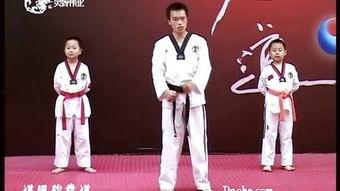 跆拳道教程视频,掌握实战技巧与礼仪规范