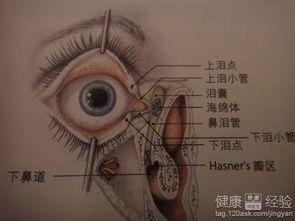 泪道阻塞按摩视频,缓解泪道阻塞困扰