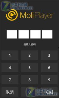 wp魔力视频,带你领略短视频营销的魅力