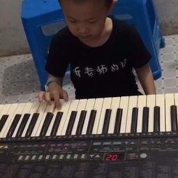 虫儿飞电子琴教学视频,轻松入门，享受音乐之美