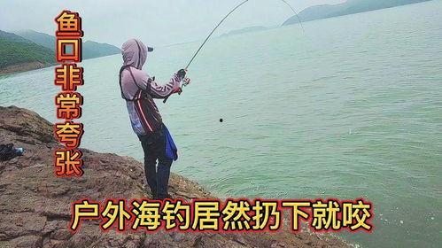 海矶钓视频,捕捉海洋之美