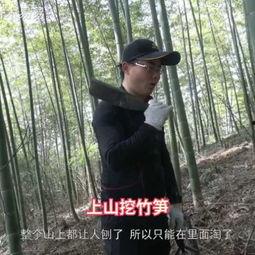 专业挖笋人视频